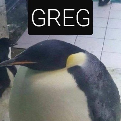 GaudyGMoney's profile picture. @NotreDame '22, ΔΩΓ | NJ | #OnePride #LGM | Talks about random shit