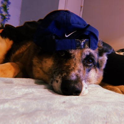 Perez14Pedro's profile picture. ♑️. 🇲🇽.