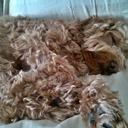 Adam Prentice - @adamprentice84 - Twitter