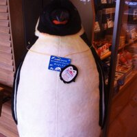 🐧(とりあえず) (@trifle_tweeter) 's Twitter Profile