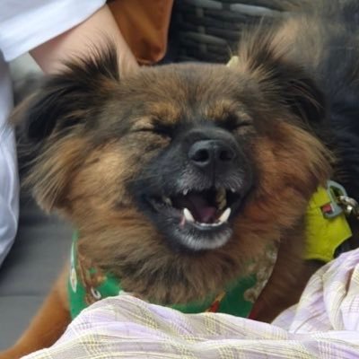 오솔さんのプロフィール画像