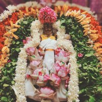Krishnarpanam (@aphronima) 's Twitter Profile