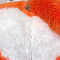 hot and stinky (@foxstank) 's Twitter Profile Photo