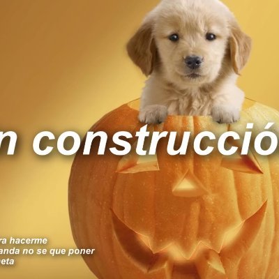 como quieres que me describa? a que te refieres?