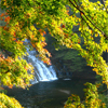 養老渓谷観光協会公式ツイッターです。
養老渓谷は新緑、紅葉、滝など広範囲に点在する景勝や遊びどころが沢山あります。
そんな養老渓谷から旬な情報をお届け致します。

4月6日は『養老渓谷の日』