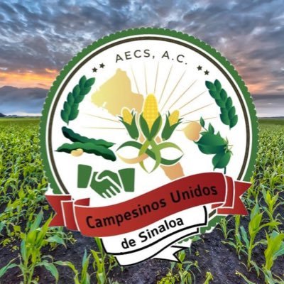 campesinosMex's profile picture. 