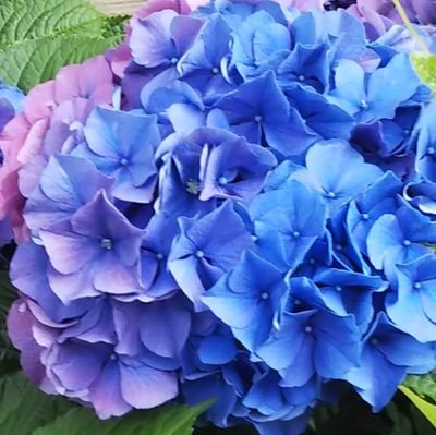 tomo_693's profile picture. アニメ(最推しはうたプリ)､ゲーム､本(BL)が大好きです🤗💕
情報収集が主な目的なので､自発的ツイートはあまりしませんが､たまにリプはします😊
いまだ使い慣れていません…🙇現在多忙につきIN薄💧