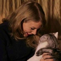 sude the cat lover (miaw's version)(@sudsde) 's Twitter Profile Photo