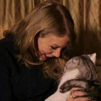 sude the cat lover (miaw's version) (@sudsde) 's Twitter Profile