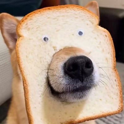 KOTOBUKI_619's profile picture. INFP丨在🇯🇵丨医療従事者丨深夜emo患者