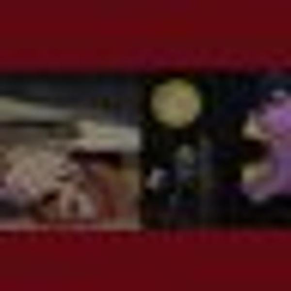 GamesOinke80355's profile picture. 写真練習中📸