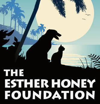 EstherHoneyFoun's profile picture. The Esther Honey Foundation provides a scientifically-proven and compassionate solution to the over-population of dogs and cats on South Pacific Islands.