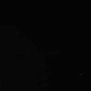 xxxowowk's profile picture. 