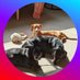 Hexhund (@hexhund) Twitter profile photo Hexhund (@hexhund) Twitter profile photo