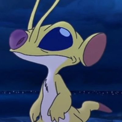 stitchさんのプロフィール画像