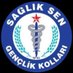 Sağlık Sen Bayburt Gençlik Kolları Başkanlığı (@ss_genclk69) Twitter profile photo