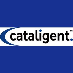Cataligent India is one of the leading providers of web-based software for controlling projects. Since the last 20 years, we have accrued several happy clients.