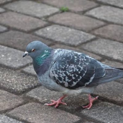 T5x2ouh0dm47498's profile picture. 