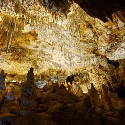 TWeislogel's profile picture. 