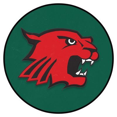 LNWildcatsFB Profile Picture