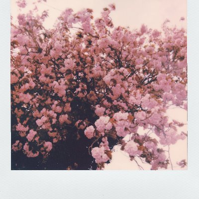 jamestafol82941's profile picture. Passionate storyteller with a love for technology and innovation. Exploring the intersection of creativity and digital marketing. Coffee addict ☕️ | Tech enthus