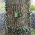 TreeWatchWUR (@treewatchwur) Twitter profile photo