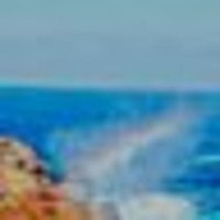 Mark James (@markjam68445135) 's Twitter Profile