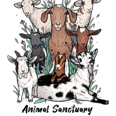 Animal Sanctuary 🐐                                   Be kind, care for one another