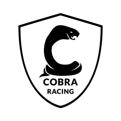 Cobra Racing is a new competitive arrive and drive karting championship for 8-17yrs #opportunity diversity #inclusion #RaceForGlory