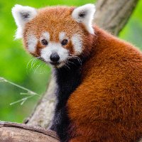 Kali Rose (@kalitherose) 's Twitter Profile Photo Kali Rose (@kalitherose) 's Twitter Profile Photo