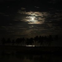 بحر (@ibiahy) 's Twitter Profile