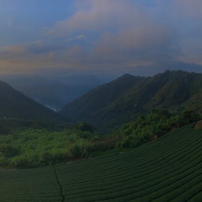 YeeHuo's profile picture. 