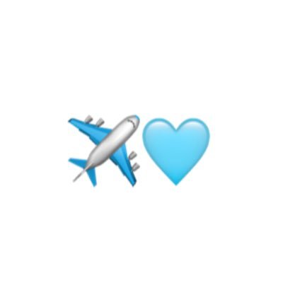 ✈️休止中です