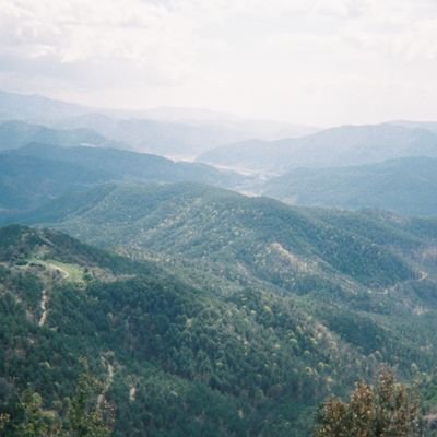 Xell_lt's profile picture. :)