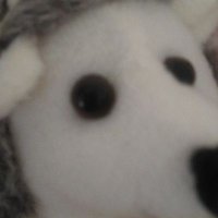 大輔 (@ayama95017) Twitter profile photo