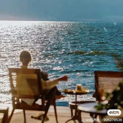 hoxinshng11's profile picture. 