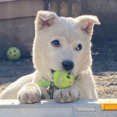 nc30kdx125rg50's profile picture. #midnight走行会 #ミッドナイト走行会