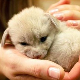 LeannanSaoirse's profile picture. Freelance writer; healthtech device designer; content provider, global traveler. Eireannach.