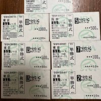 日本最大級 エイシンフラッシュ 現地馬券 新馬 デビュー戦 激レア