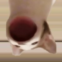 Hunna (@songhuncho) 's Twitter Profile
