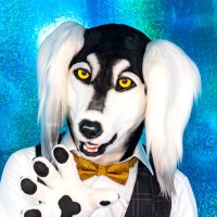 犬民ルキ【Luki】 (@inutamiluki) 's Twitter Profile Photo 犬民ルキ【Luki】 (@inutamiluki) 's Twitter Profile Photo