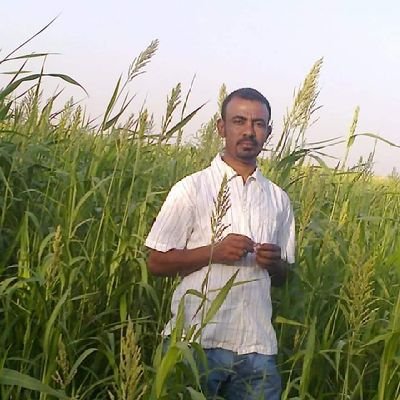 AlamynAlwh59317's profile picture. 