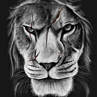 MudesserMirza (@muat_mi) 's Twitter Profile