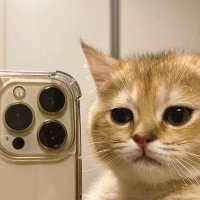 PᴀᴘɪPᴏO •₊˚ (@mvixviifk_jms) 's Twitter Profile