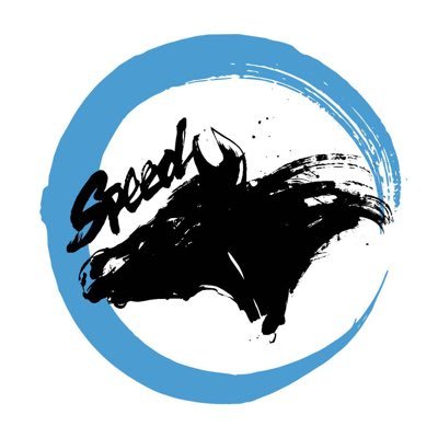 スピード指数とマイAIでデータ競馬予想をしています。本命馬以外の印も書いていますが、基本は本命◎の単・複馬券購入で、その他の印はオマケです!