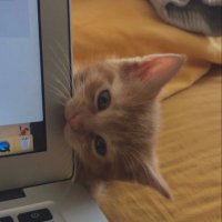 صمت😴 (@b_fnxjo) Twitter profile photo