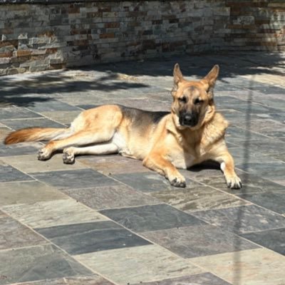 Adhaliwal510's profile picture. 