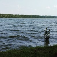 idk (@daypids) 's Twitter Profile