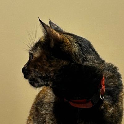 plsdontwakeme's profile picture. savoir-faire