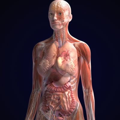 noahliammason's profile picture. 